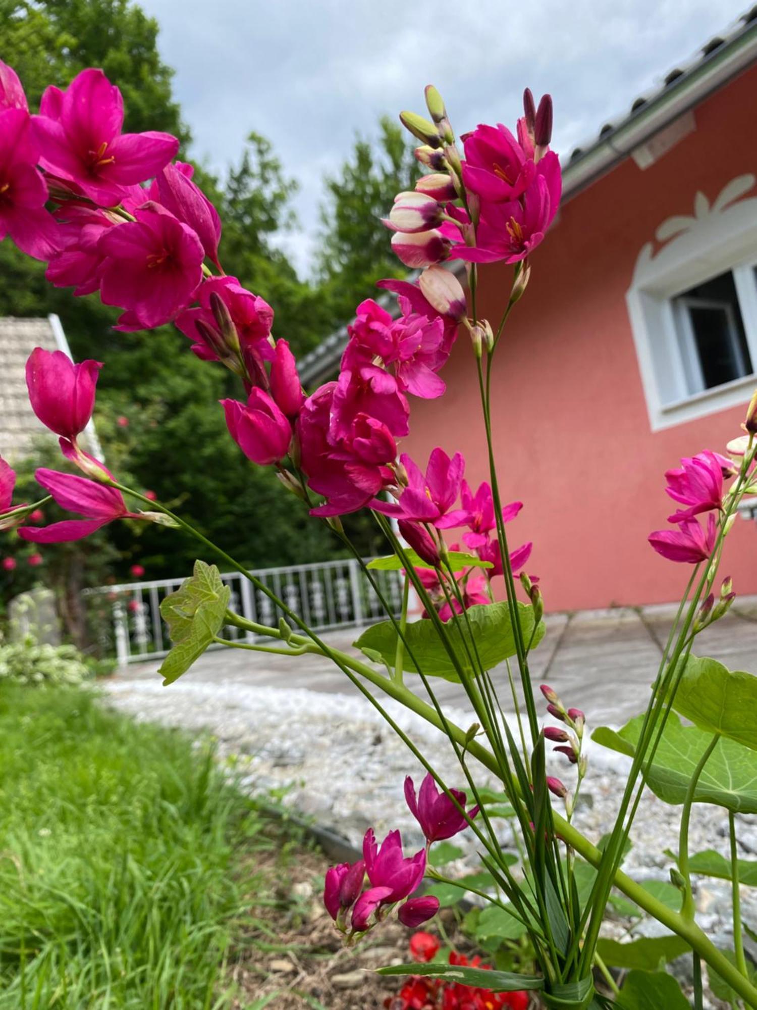 Apartament Pension Hadanig Techelsberg Zewnętrze zdjęcie