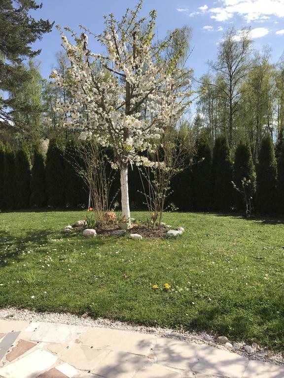 Apartament Pension Hadanig Techelsberg Zewnętrze zdjęcie
